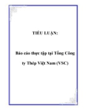 TIỂU LUẬN:  Báo cáo thực tập tại Tổng Công ty Thép Việt Nam (VSC)