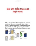 Bài 29: Cấu trúc các loại virut