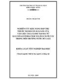 Khóa luận tốt nghiệp đại học: Nghiên cứu khả năng hấp thụ thuốc Neomycin sulfate của vật liệu cellulose tạo ra từ Gluconacetobacter xylinus nuôi cấy trong môi trường nước dừa già