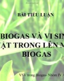 Tiểu luận: BIOGAS VÀ VI SINH VẬT TRONG LÊN MEN BIOGAS