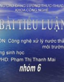 Công nghệ xử lý nước thải môi trường bằng sinh học