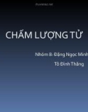 Chất lượng tử