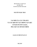 Luận án Tiến sĩ Vật lý: Vai trò của các tâm, bẫy và các khuyết tật trong vật liệu lân quang dài CaAl2O4 pha tạp các ion đất hiếm