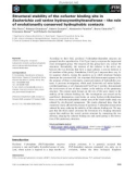 Báo cáo khoa học: Structural stability of the cofactor binding site in Escherichia coli serine hydroxymethyltransferase – the role of evolutionarily conserved hydrophobic contacts