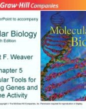 Lecture Molecular biology (Fifth Edition): Chapter 5 - Robert F. Weaver