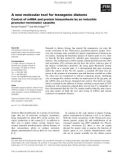 Báo cáo khoa học: A new molecular tool for transgenic diatoms Control of mRNA and protein biosynthesis by an inducible promoter–terminator cassette