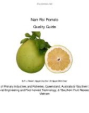 Báo cáo nghiên cứu khoa học  Nam Roi Pomelo Quality Guide 