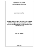 luận văn: NGHIÊN CỨU CẤU TRÚC CỦA ỐNG NANO CARBON DƯỚI TÁC ĐỘNG CỦA BỨC XẠ NĂNG LƯỢNG CAO ĐỊNH HƯỚNG ỨNG DỤNG TRONG MÔI TRƯỜNG VŨ TRỤ
