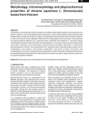 Morphology, micromorphology and physicochemical properties of Annona squamosa L. (Annonaceae) leaves from Vietnam