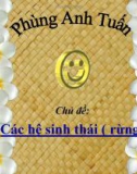 Chủ đề: Các hệ sinh thái (rừng)