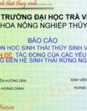 Chuyên đề: Tác động của các yếu tố môi trường đến hệ sinh thái rừng ngập mặn