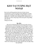 KEO TAI TƯỢNG HẠT NGOẠI