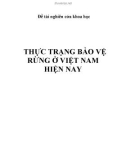 Đề tài nghiên cứa khoa học: Thực trạng bảo vệ rừng ở Việt Nam hiện nay