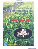 Công nghệ trồng cây hoa Lily: Phần 1