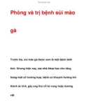 Phòng và trị bệnh sùi mào  gà