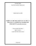 Tóm tắt Luận án tiến sĩ Hóa học: Nghiên cứu thu nhận, khảo sát cấu trúc và tính chất của exopolysaccharide sinh tổng hợp từ Lactobacillus fermentum