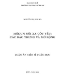 Luận án Tiến sĩ Toán học: Mô đun nội xạ cốt yếu: các đặc trưng và mở rộng