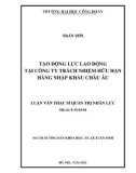 Luận văn Thạc sĩ Quản trị nhân lực: Tạo động lực lao động tại Công ty Trách nhiệm hữu hạn Hàng nhập khẩu Châu Âu