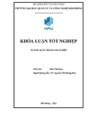 Khóa luận tốt nghiệp Quản trị doanh nghiệp: Biện pháp nâng cao hiệu quả sử dụng nguồn nhân lực tại Công ty Cổ Phần Đầu tư Và Thương mại VP