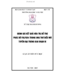 Luận án Tiến sĩ Y học: Đánh giá kết quả hóa trị bổ trợ phác đồ FOLFOX4 trong ung thư biểu mô tuyến đại trực tràng giai đoạn III