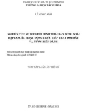 Tóm tắt Luận án Tiến sĩ: Nghiên cứu sự biến đổi hình thái đáy sông Soài Rạp do các hoạt động trực tiếp thay đổi đáy và nước biển dâng