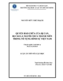 Luận án Tiến sĩ: Quyền bào chữa của bị can, bị cáo là người chưa thành niên trong tố tụng hình sự Việt Nam