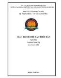 Giáo trình Chế tạo phôi hàn (Nghề: Hàn - Trung cấp) - Trường CĐ nghề Việt Nam - Hàn Quốc thành phố Hà Nội