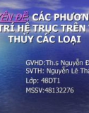 Chuyên đề: Các phương án bố trí hệ trục trên tàu thủy các loại