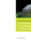 Các nguyên tắc và hướng dẫn về liêm chính (2015)