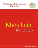 Khóa luận tốt nghiệp ngành Kinh tế đối ngoại: Nghiên cứu hoạt động Marketing mix tại công ty Phương Nam Digital