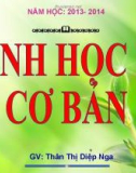 Bài giảng Sinh học 11 - Bài 47: Điều kiện sinh sản ở động vật