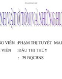 HỆ VI SINH VẬT Ở TÔM VÀ NHỮNG HƯ HỎNG