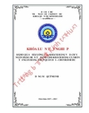 Khóa luận tốt nghiệp: Đánh giá sự hài lòng của khách hàng về dịch vụ ngân hàng điện tử dành cho khách hàng cá nhân tại Ngân hàng TMCP Quân Đội – chi nhánh Huế