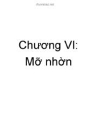 DẦU NHỜN - MỠ - PHỤ GIA - Chương  6