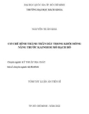 Tóm tắt Luận án Tiến sĩ Kỹ thuật địa chất: Cơ chế hình thành thân dầu trong khối móng nâng trước kainozoi mỏ Bạch Hổ