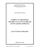 Luận văn Thạc sĩ Hóa học: Nghiên cứu thành phần hoá học của lá cây Cà phê chè (Coffea arabica)