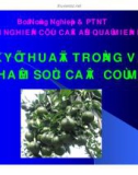 Báo cáo nghiên cứu nông nghiệp  KỸ THUẬT TRỒNG VÀ CHĂM SÓC CÂY CÓ MÚI 