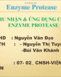 THU NHẬN VÀ ỨNG DỤNG CỦA ENZYME PROTEASE