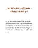 Lớp Hai mảnh vỏ (Bivalvia) Cấu tạo và sinh lý-1