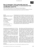 Báo cáo khoa học: Role of asparagine 1134 in glucosidic bond and transglycosylation speciﬁcity of reuteransucrase from Lactobacillus reuteri 121