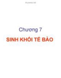 Bài giảng Vi sinh thực phẩm: Chương 7 - Trần Thị Huyền