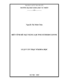 Luận văn Thạc sĩ Khoa học: Biến tính bề mặt màng lọc Polyethersulfone (PES)