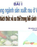 Thực trạng sản xuất rau ở Việt Nam