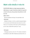 Bệnh xoắn khuẩn ở trâu bò