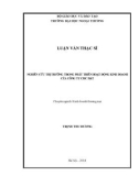 Luận văn Thạc sĩ Quản trị kinh doanh: Nghiên cứu thị trường trong phát triển hoạt động kinh doanh của Công ty CMC P&T