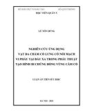 Luận án Tiến sĩ Y học: Nghiên cứu ứng dụng vạt da chẩm cổ lưng có nối mạch vi phẫu tại đầu xa trong phẫu thuật tạo hình di chứng bỏng vùng cằm cổ