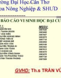 Giáo án điện tử sinh học: Sinh học 12-Vi sinh đại dương