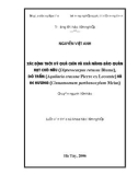 Luận văn Thạc sĩ Khoa học Lâm nghiệp: Xác định thời kỳ quả chín và khả năng bảo quản hạt Chò nâu (Dipterocarpus retusus Blume), Dó Trầm (Aquilaria crassna Pierre ex Lecomte) và Re hương (Cinnamomum parthenoxylum Meisn)