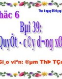 Bài giảng điện tử môn sinh học: ngành quyết và dương xỉ