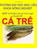 Chuyên đề: Kỹ thuật nuôi cá trê - ĐH Bạc Liêu